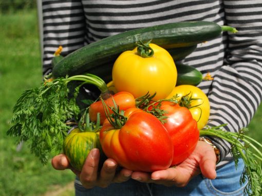 Réunion Projet Potagers Collectifs