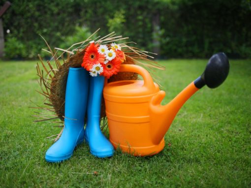 Potager Collectif
